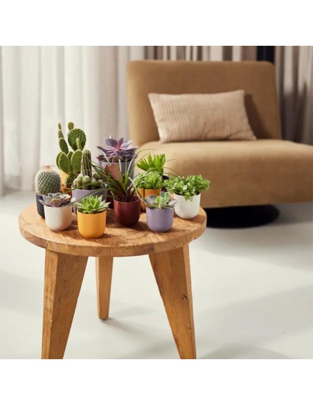Vaso Elho Jazz Round Nero Living Black: Design Minimalista