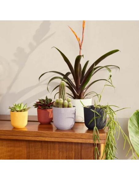 Vaso Elho Jazz Round Nero Living Black: Design Minimalista