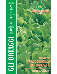 SEMI DI CICORIA ZUCCHERINA "DI TRIESTE" GUSTOSA