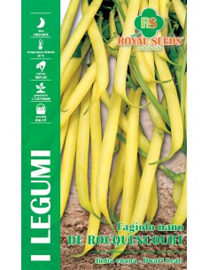 SEMI FAGIOLO NANO DE ROCQUENCOURT B 100 GR