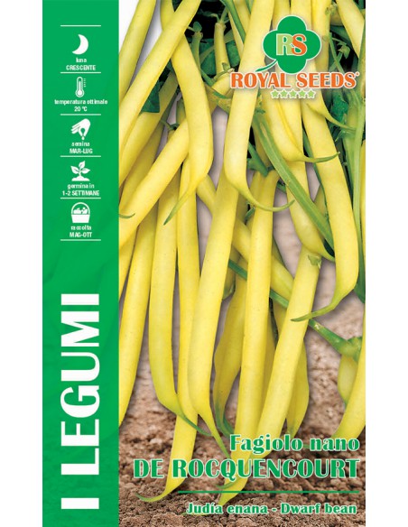 FAGIOLO NANO DE ROCQUENCOURT B 100 GR
