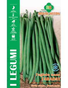 SEMI FAGIOLO NANO FARADAY Crescita rapida e vigorosa