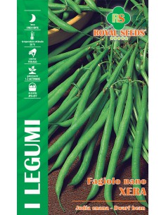 SEMI DI FAGIOLO NANO XERA Baccelli lunghi, gustosi 100 GR