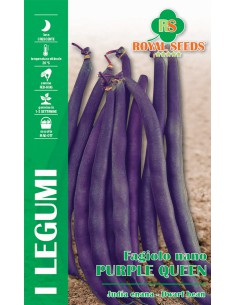 SEMI FAGIOLO NANO PURPLE QUEEN Gusto eccezionale