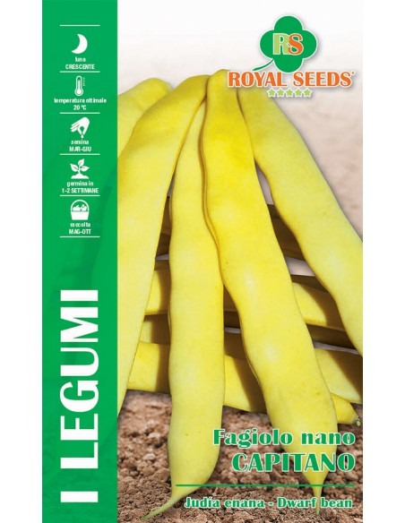FAGIOLO NANO CAPITANO - 100GR