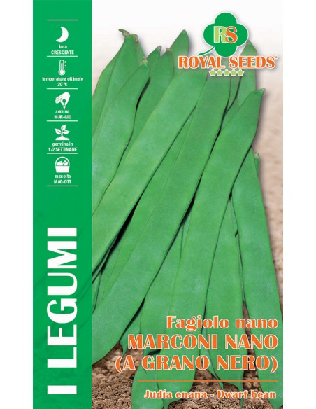 SEMI FAGIOLO MARCONI NANO (A GRANO NERO)