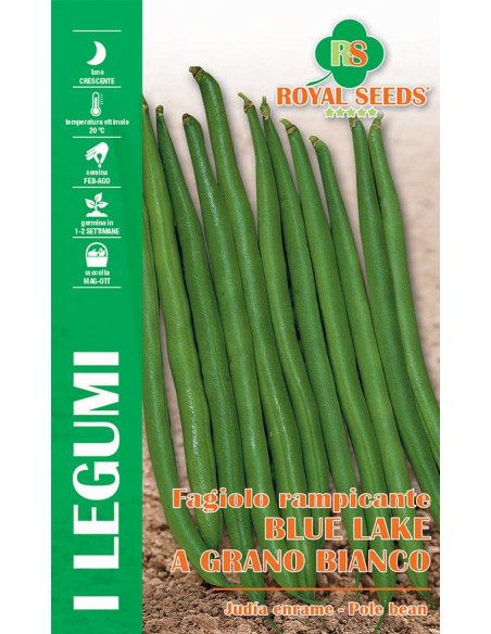 SEMI FAGIOLINO  RAMPICANTE BLUE LAKE (A GRANO BIANCO) 100GR