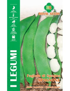 SEMI FAGIOLO DI SPAGNA SPAGNONE RAMPICANTE 100 GR