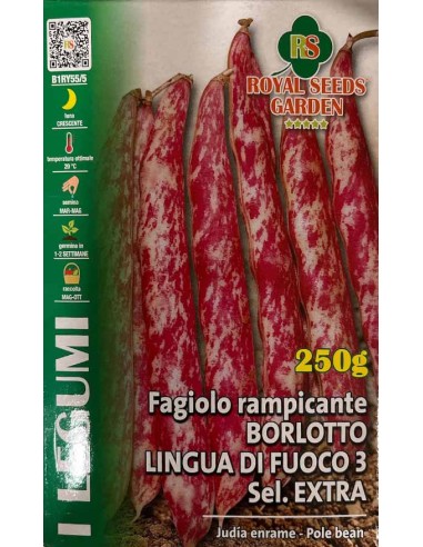 Semi Fagiolo Borlotto Lingua di Fuoco 3 Royal: Saporiti!