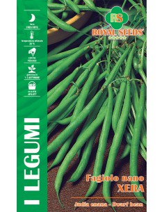 SEMI DI FAGIOLO NANO XERA raccolto abbondante