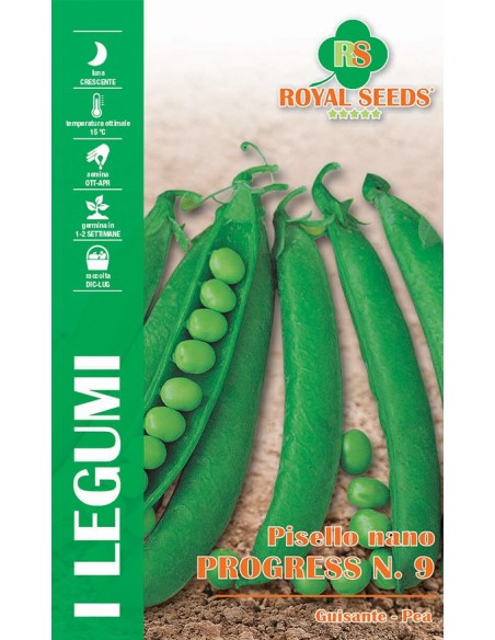 Semi Pisello Progress 9 Royal Seeds: Raccolto Dolce!