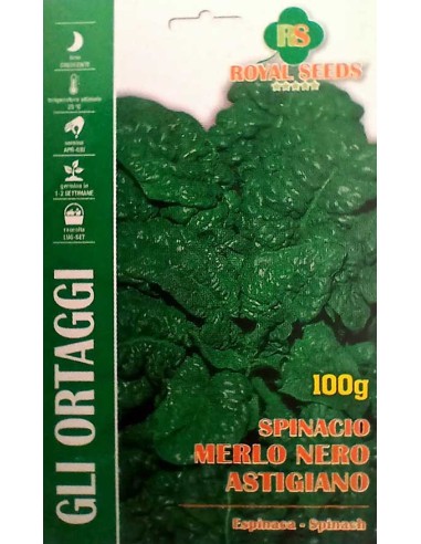 Semi Spinacio Merlo Nero Royal Seeds: Qualità da Orto
