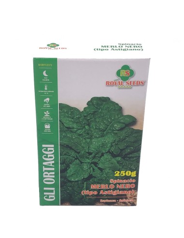Semi Spinacio Merlo Nero Royal Seeds: Qualità da Orto