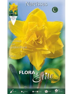 Bulbi di Narciso doppi 'Golden Ducat': Dorati e Fiori Doppi
