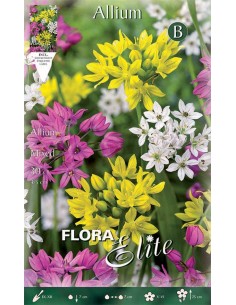 Bulbi di Allium 'Mixed': Sfere Cromatiche per il Giardino