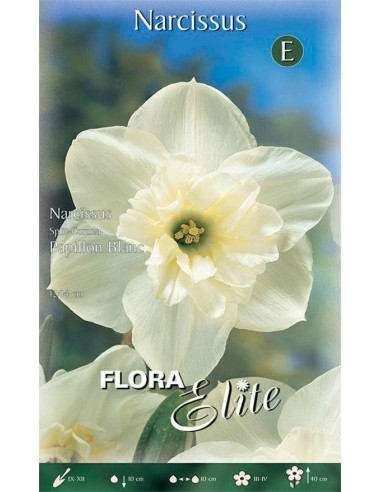 Bulbi di Narciso 'Split-Corona Papillon': Eleganza Bianca