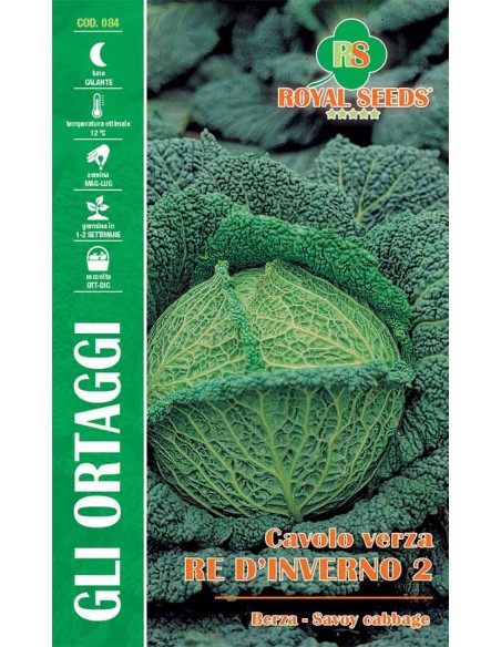 Semi Cavolo Verza Re d'Inverno 2 Royal Seeds | Orto