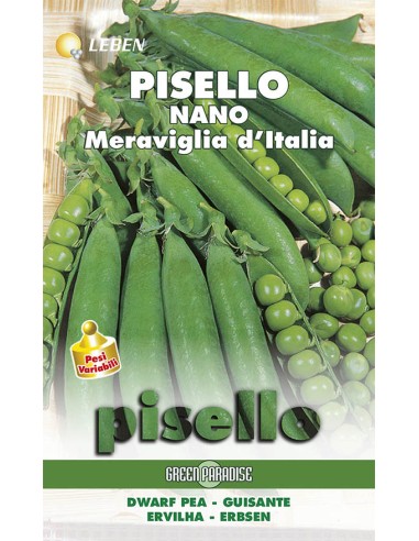 Semi Pisello Nano Meraviglia d'Italia Royal Seeds | Eshop