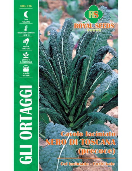 SEMI DI CAVOLO LACEOLATO NERO DI TOSCANA PRECOCE