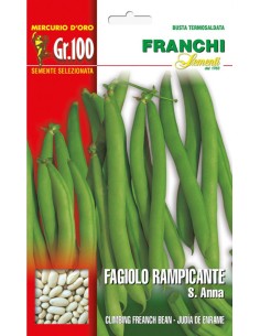 Fagiolo Rampicante S. Anna Franchi Sementi 100g | Orto