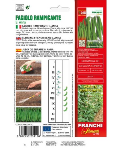 Fagiolo Rampicante S. Anna Franchi Sementi 100g | Orto