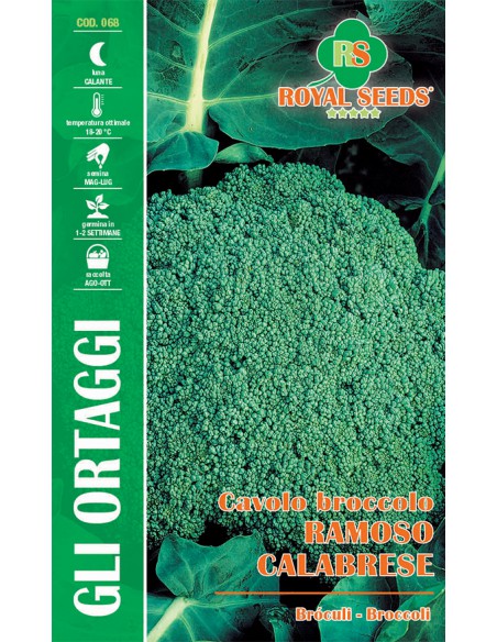SEMI DI CAVOLO BROCCOLO RAMOSO CALABRESE
