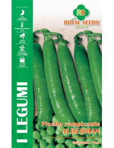 SEMI PISELLO RAMPICANTE GRANO RUGOSO ALDERMAN