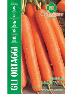 SEMI DI CAROTA NANTES 2  Perfette per insalate e minestre