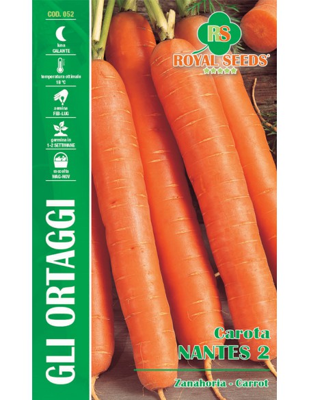 SEMI DI CAROTA NANTES 2  Perfette per insalate e minestre