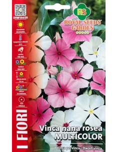 Semi Vinca Nana Rosea Multicolor Royal Seeds per Giardino