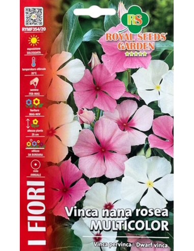 Semi Vinca Nana Rosea Multicolor Royal Seeds per Giardino