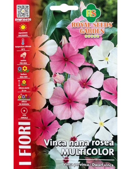 Semi Vinca Nana Rosea Multicolor Royal Seeds per Giardino