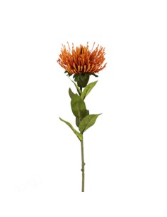 Leucospermum artificiale singolo 72 cm | Decorazione Casa 2