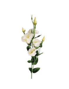 Lisianthus artificiale con fiori 82 cm | Decorazione Casa