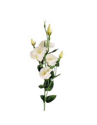 Lisianthus artificiale con fiori 82 cm | Decorazione Casa