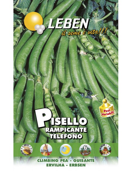 PISELLO RAMP.TELEFONO GR.250