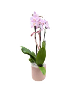 Coprivaso Ceramica 'Caspo' Rosa antico | Design Moderno Casa 2
