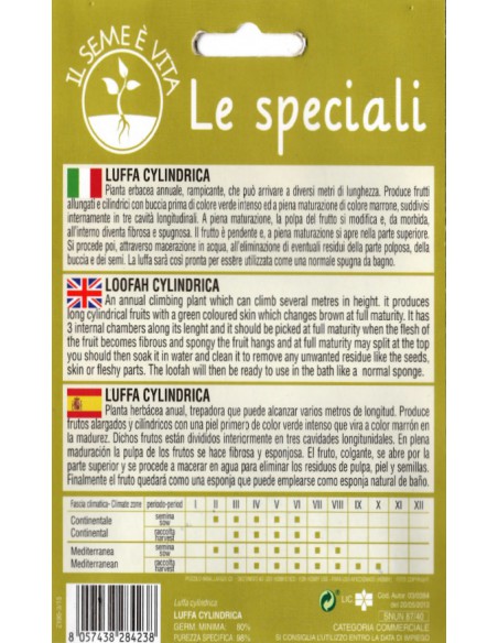 LUFFA CYLINDRICA SPE