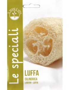 SEMI LUFFA CYLINDRICA