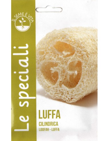 LUFFA CYLINDRICA SPE