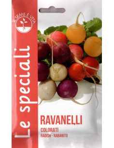 SEMI RAVANELLI COLORATI