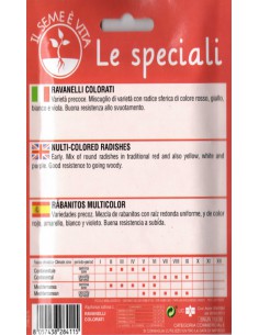 SEMI RAVANELLI COLORATI 2