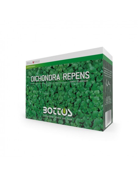 DICONDRA REPENS semi prato gr.500 resistente