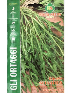 SEMI RUCOLA SELVATICA