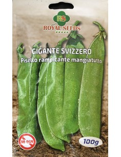 SEMI PISELLO GIGANTE SVIZZERO "TACCOLA" RAMPICANTE 100 G