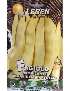 SEMI FAGIOLO RAMPICANTE MERAVIGLIA DI VENEZIA