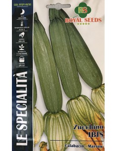 SEMI ZUCCHINO IBIS SP