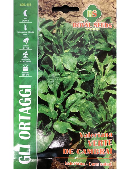 SEMI VALERIANA VERTE CAMBRAI per insalate e contorni