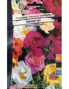 SEMI DI PORTULACA DOPPIA MULTICOLOR tappeto fiorito