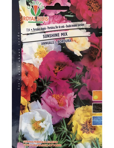 SEMI DI PORTULACA DOPPIA MULTICOLOR tappeto fiorito